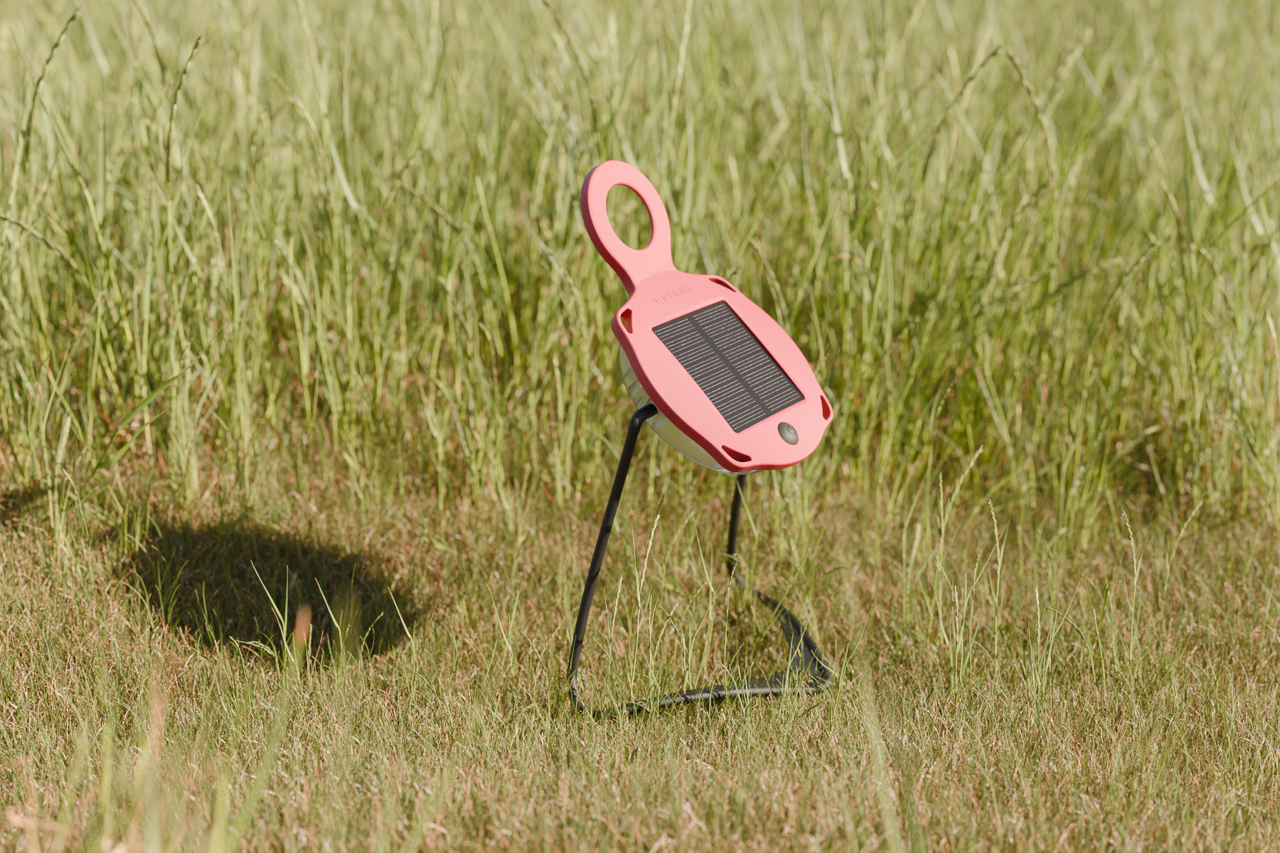 Sunturtle render grass